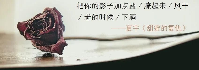 （Pixabay图片）