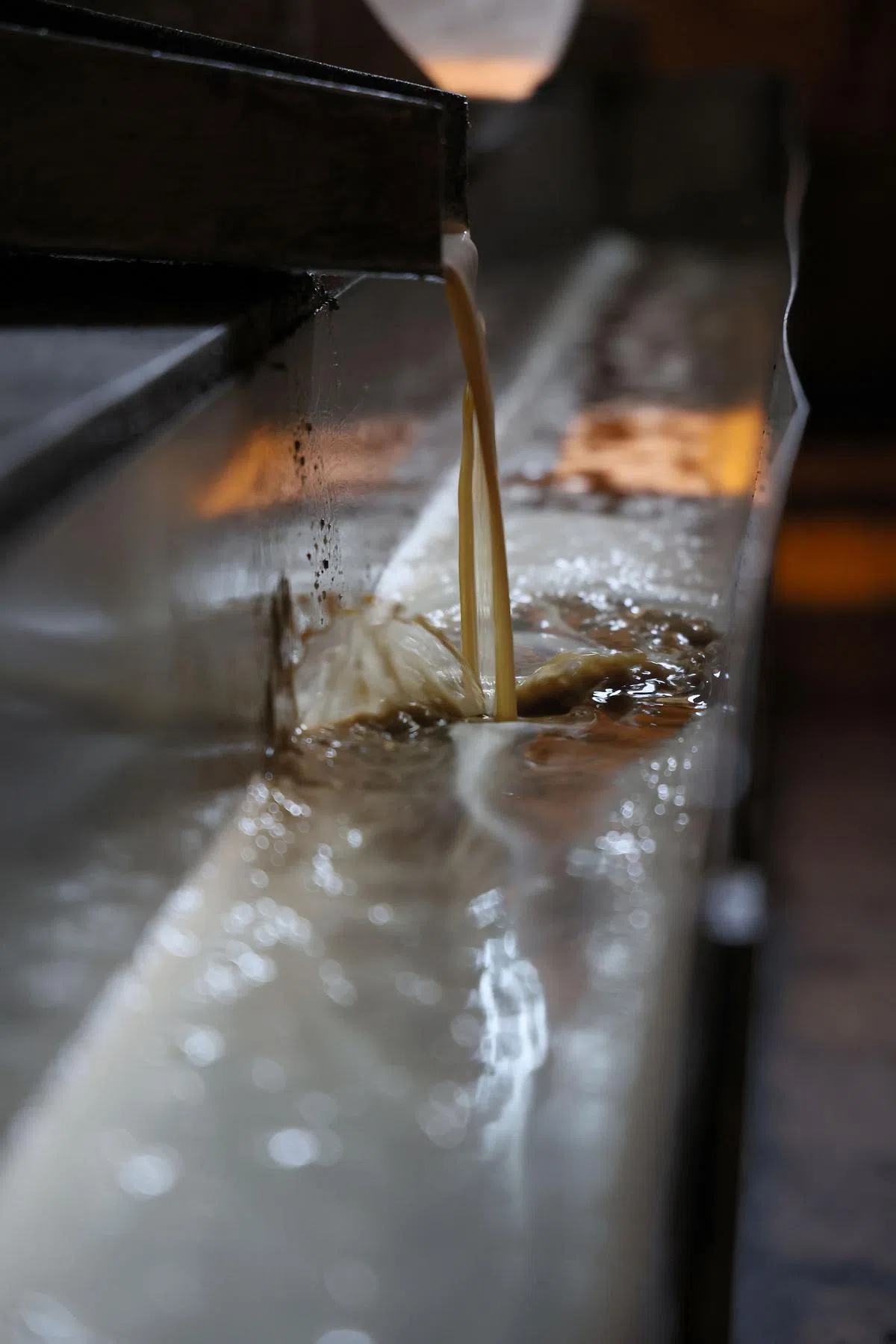 【榨油】刚压榨出来的麻油，热乎乎的。（龙国雄摄）