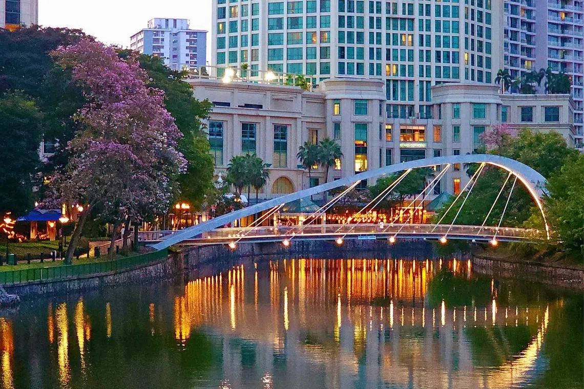 罗拔申桥最亮眼。（冰秀摄）