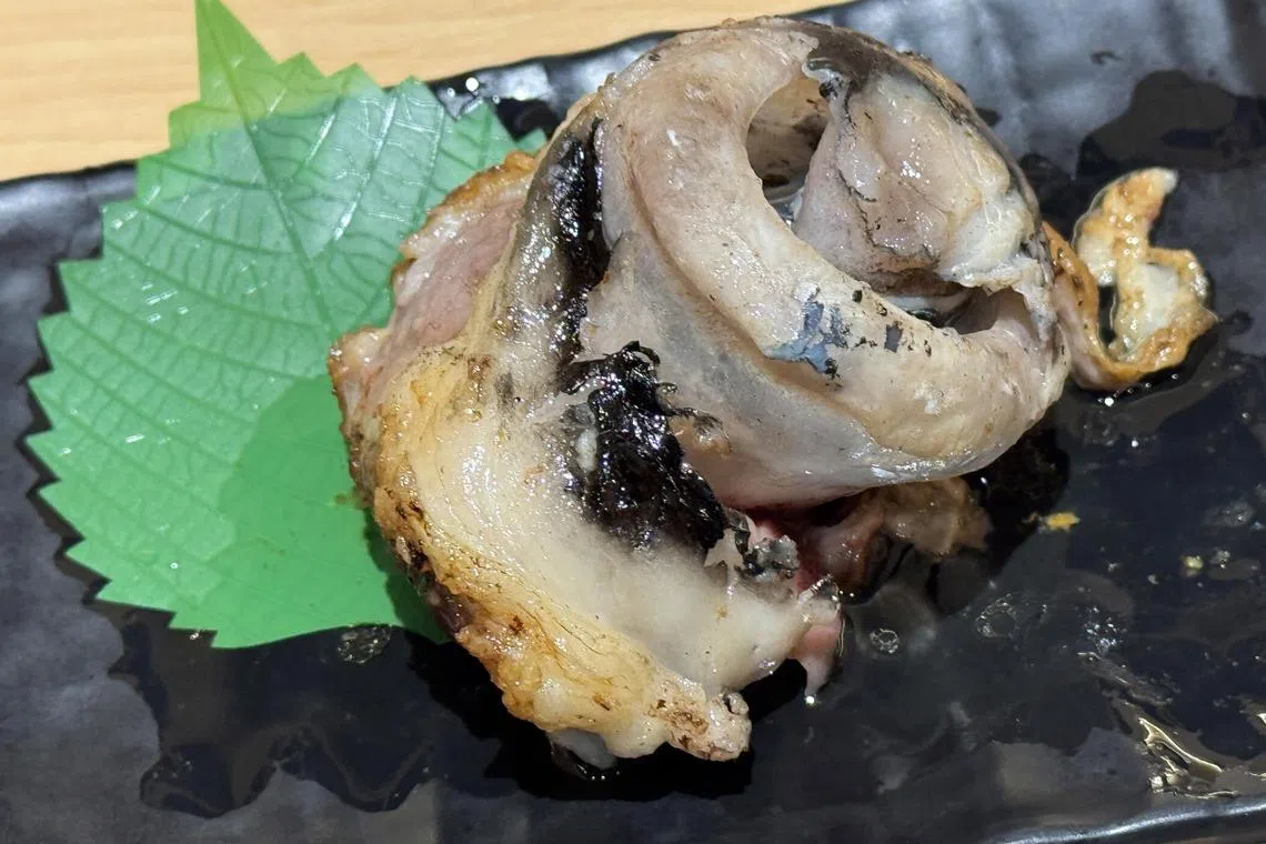 烤蓝鳍鲔鱼眼肉胶质丰富，口感黏稠。（邝启聪摄）