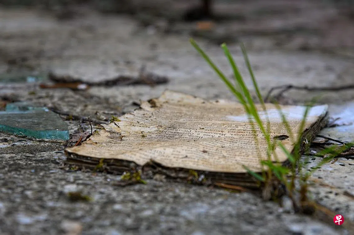 文戈：忘了你是谁| 联合早报