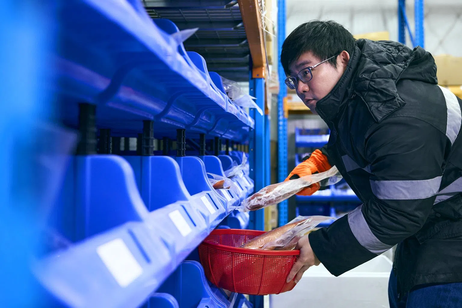 Tankfully Fresh在裕廊渔港附近设立冷房，吴杰敏一早就在这里带领团队为网购订单装箱，安排送货。（新报业媒体）