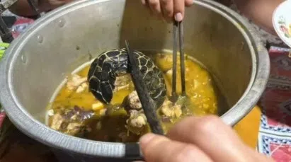 杀死海龟后，男子回去将它烹煮食用，并将照片上传到中国互联网平台。（互联网）