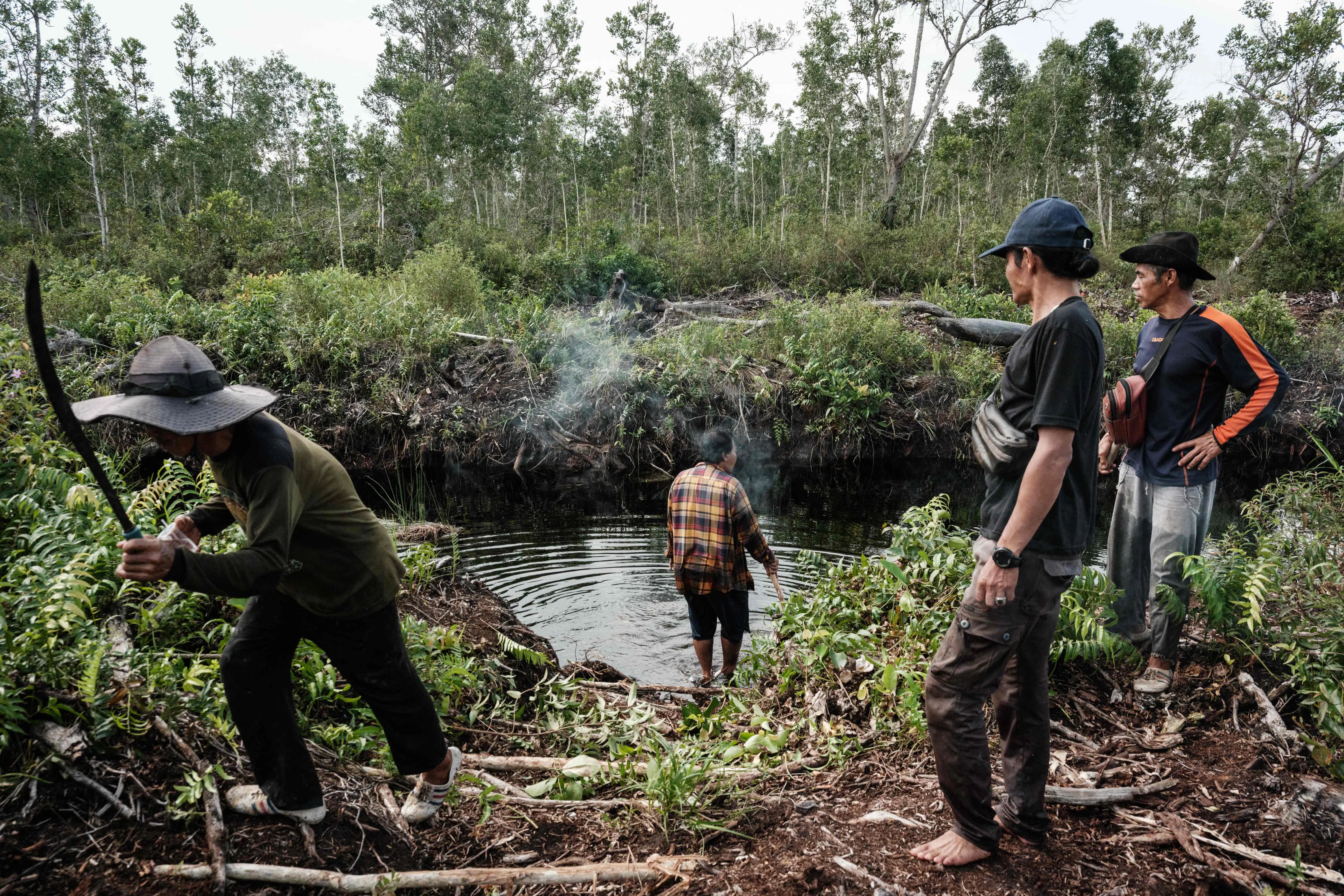 印尼南苏门答腊省Lebung Itam村的村民正在查看一条穿越泥炭地森林、通往种植园的人工沟渠。（法新社）