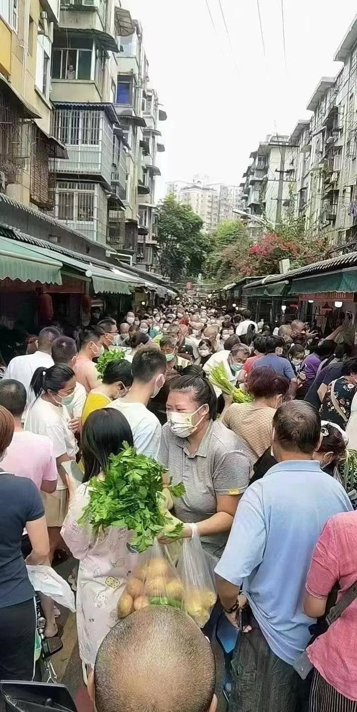 成都宣布星期四晚6时起实行原则居家，引发市民新一轮“抢菜”。网传的照片中，街道上人满为患，人们手中都拎着大包小包的蔬菜。（互联网）