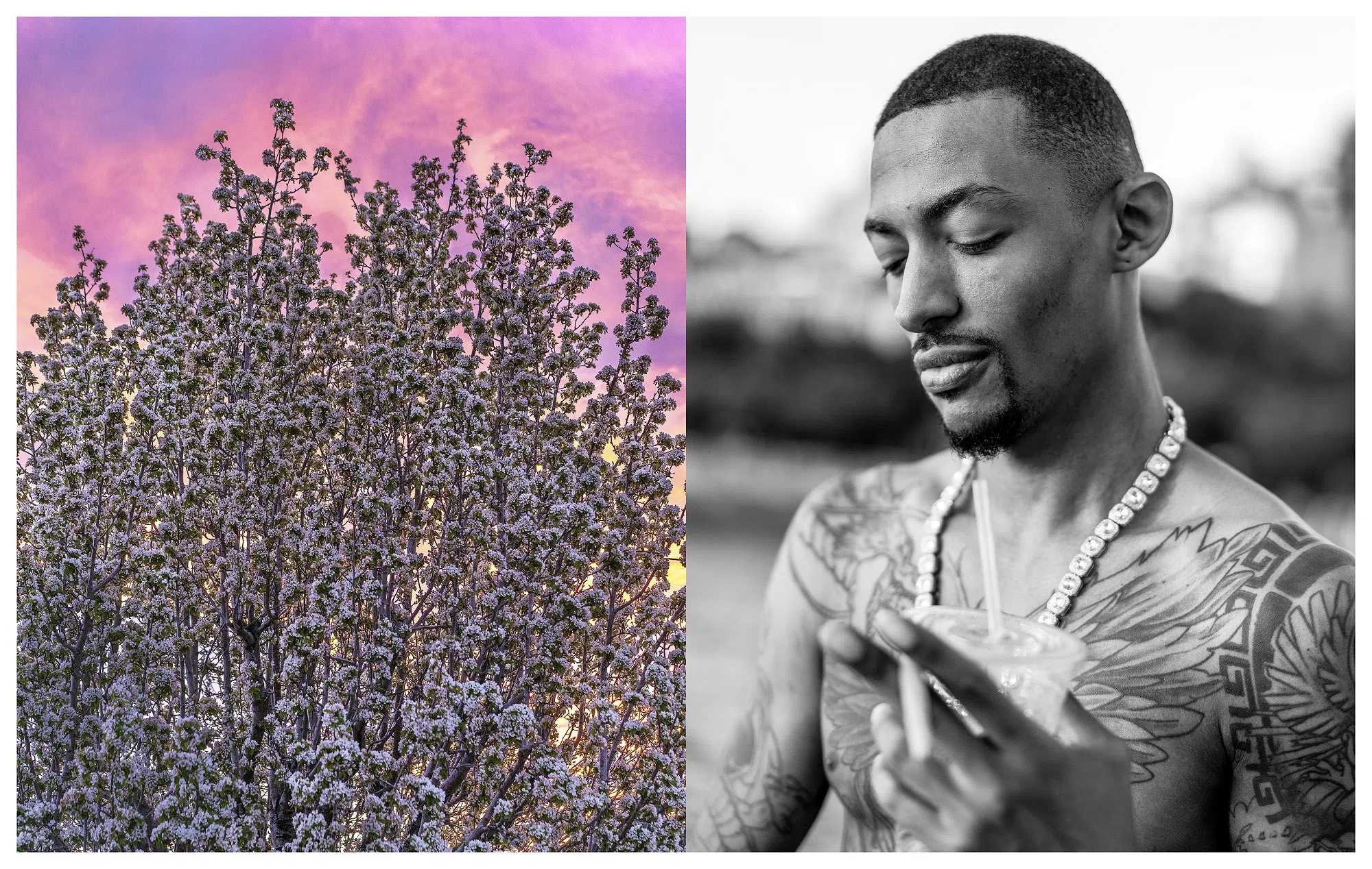 理查德·雷纳尔迪入围系列：不安的和谐（Disturbed Harmonies）／豆梨（Callery Pear，2023）。摄影师希望“把人类拉回到与自然世界平行的状态，因为人类已经严重脱离了自然世界。”他把每幅双联作的两部分平等呈现，每张面孔隐喻一个神秘的地球，以“更全面地审视它们的构造压力”。