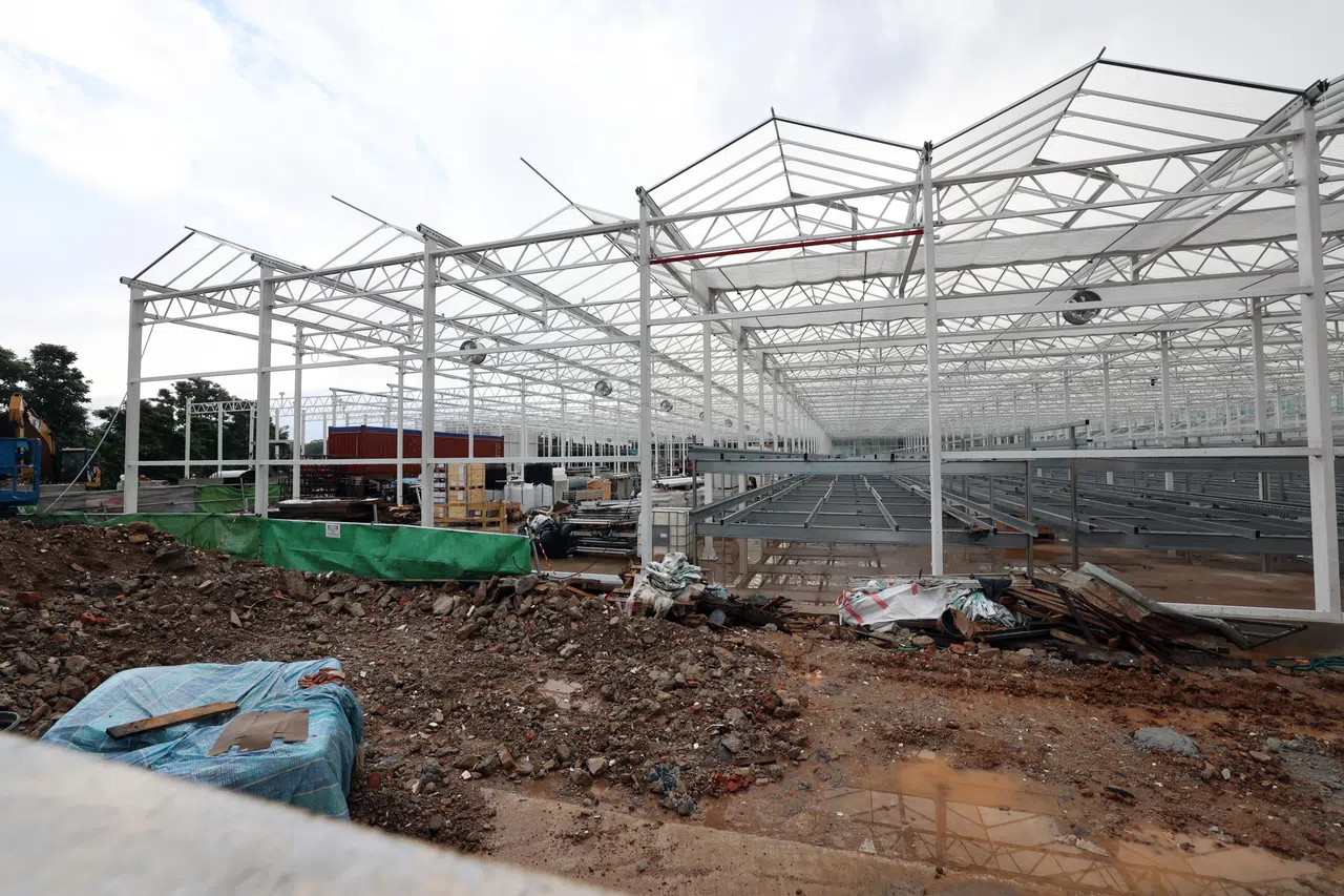 双溪登加玻璃温室蔬菜农场设有高度自动化的多层种植系统，可减少能源消耗和用地面积，预计今年12月完工。（邝启聪摄）