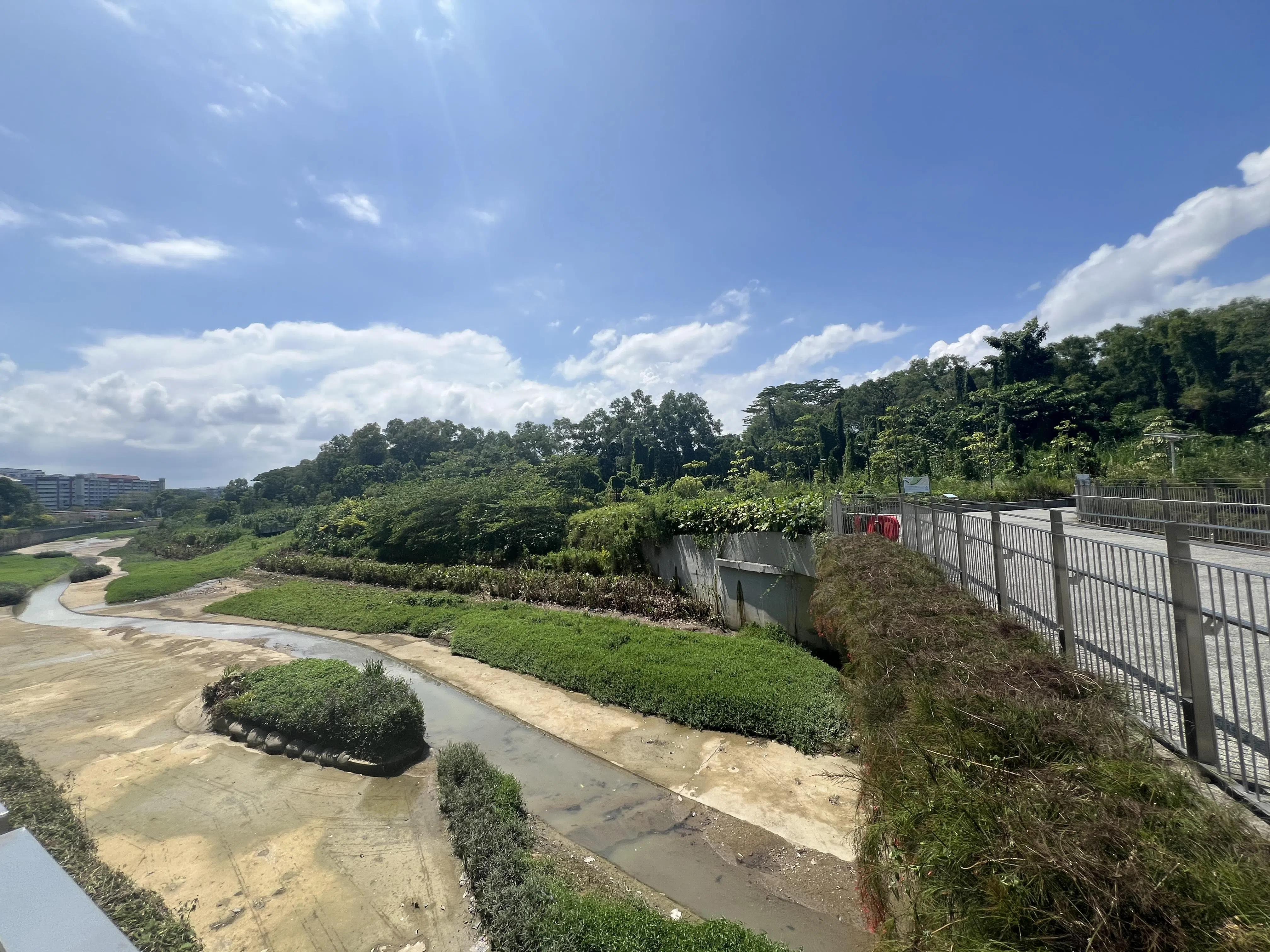紧挨水道的淡滨尼生态园绿意盎然。（杨全龙摄）