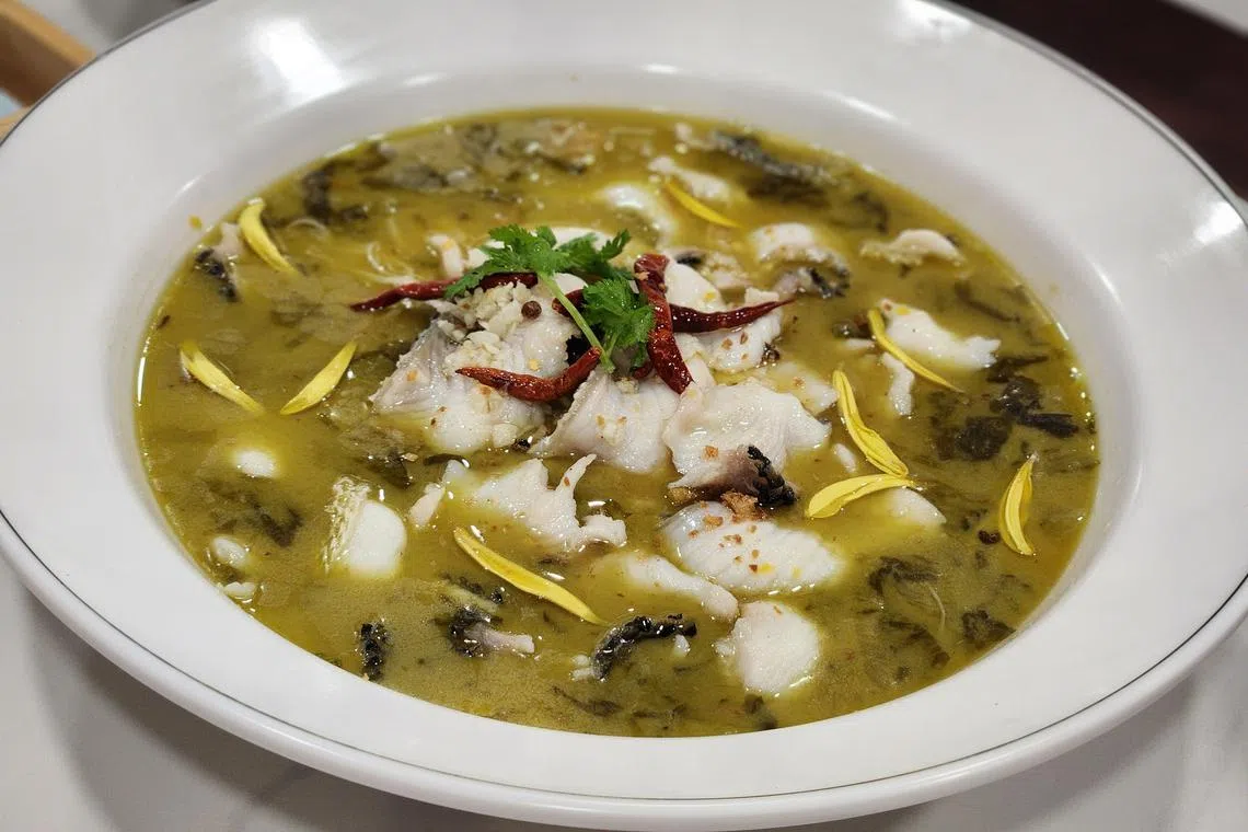 万家福创新中国菜的酸菜鱼以新鲜生鱼烹制。（陈爱薇摄）