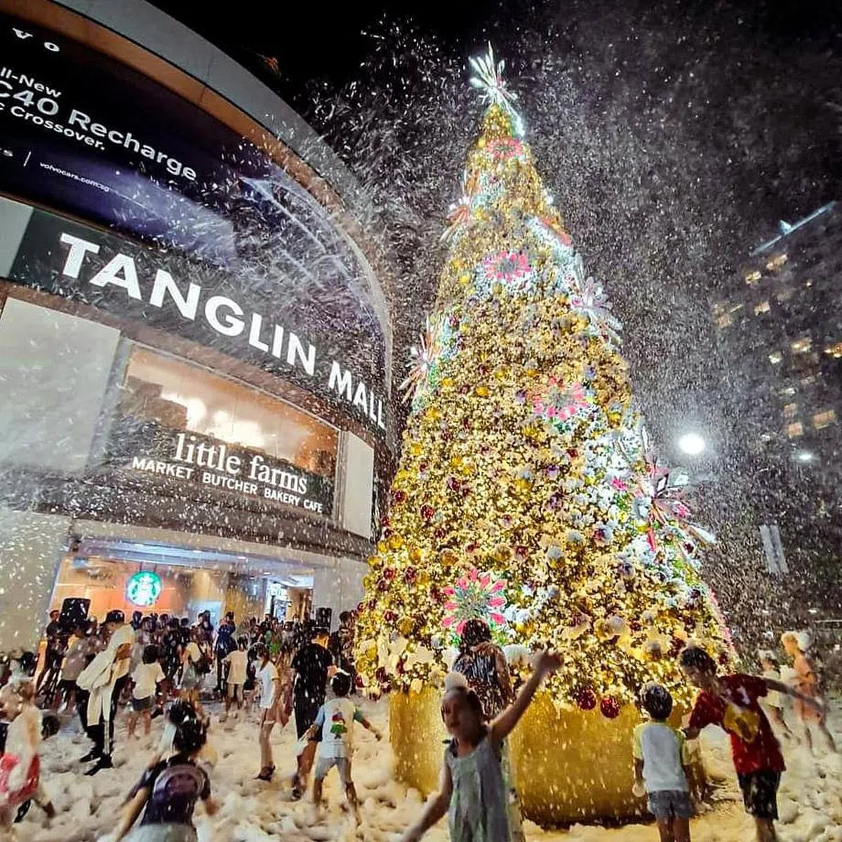 东陵坊外飘雪的圣诞树（图/Tanglin Mall 面簿）。