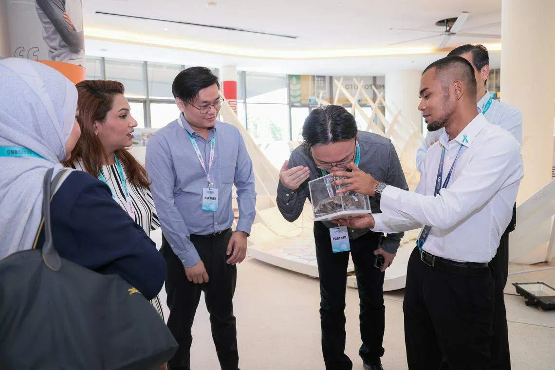 中央肃毒局在工作计划研讨会上准备大麻样品，让参与者实际看到和闻到大麻，从不同角度了解其危害。（李冠卫摄）