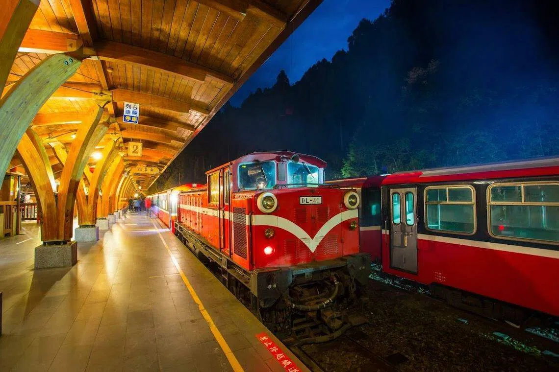 焕然一新台湾地标游，游客可以搭乘阿里山小火车前往对高岳站观赏日出。（商家提供）