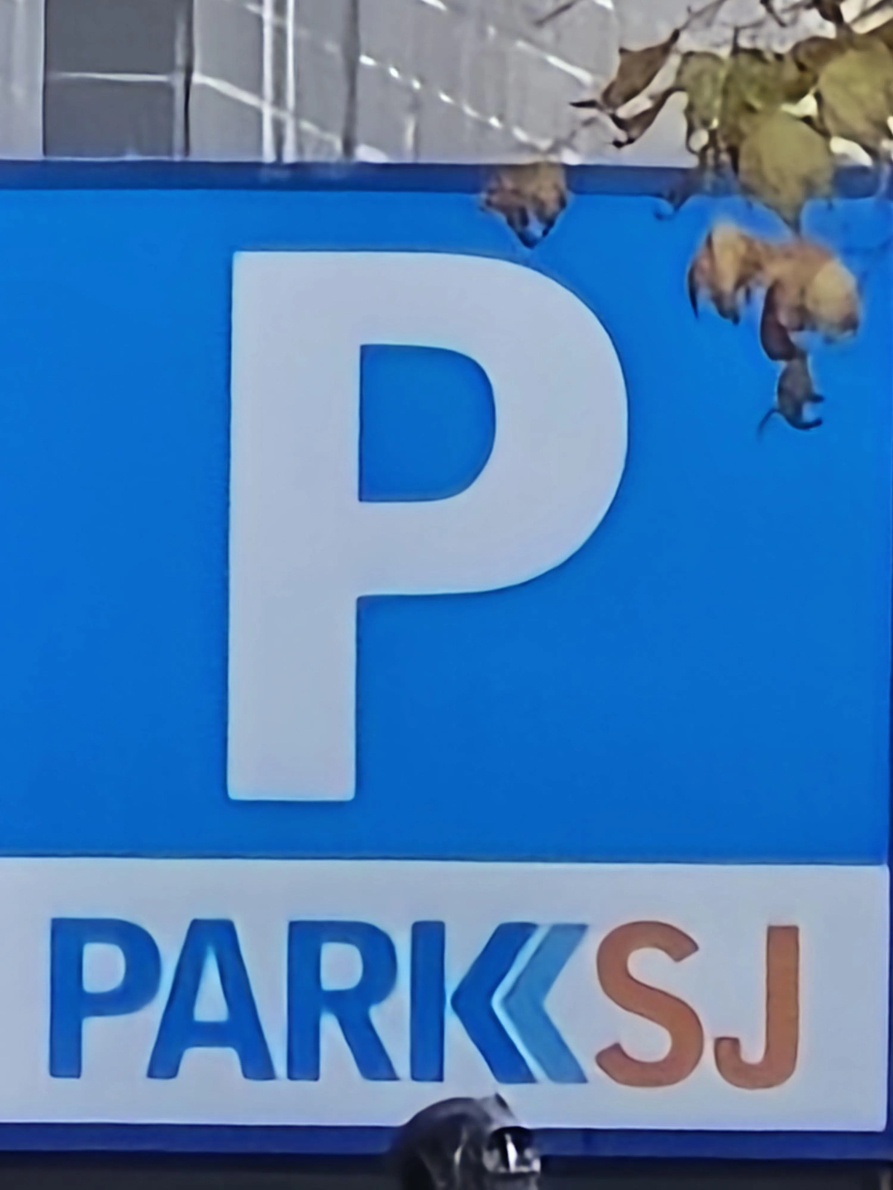 使用100倍数码长焦功能，图片细节依然清晰。（黄少伟摄）