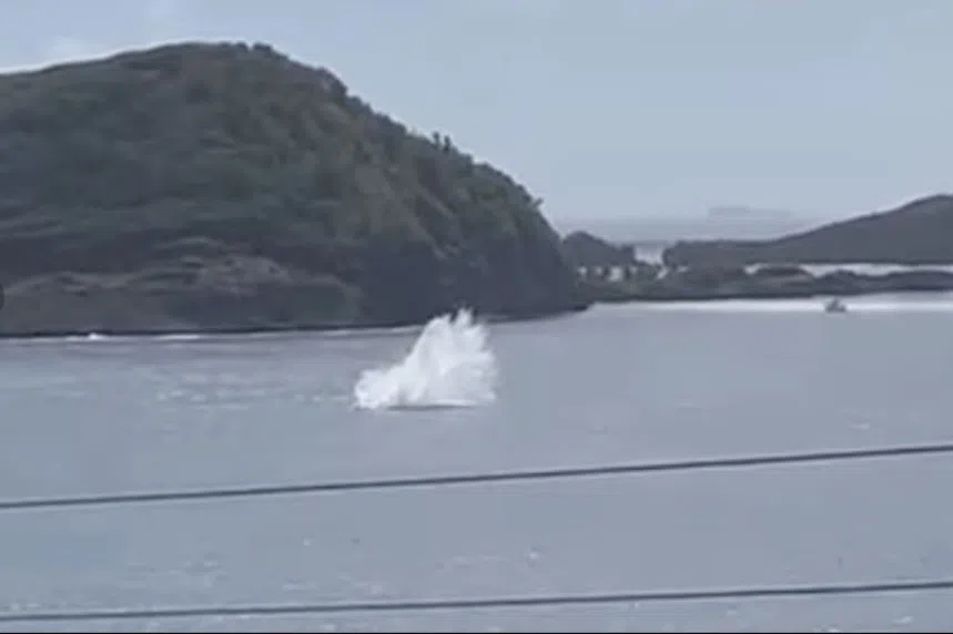 有居民拍下坠机一刻。（互联网）