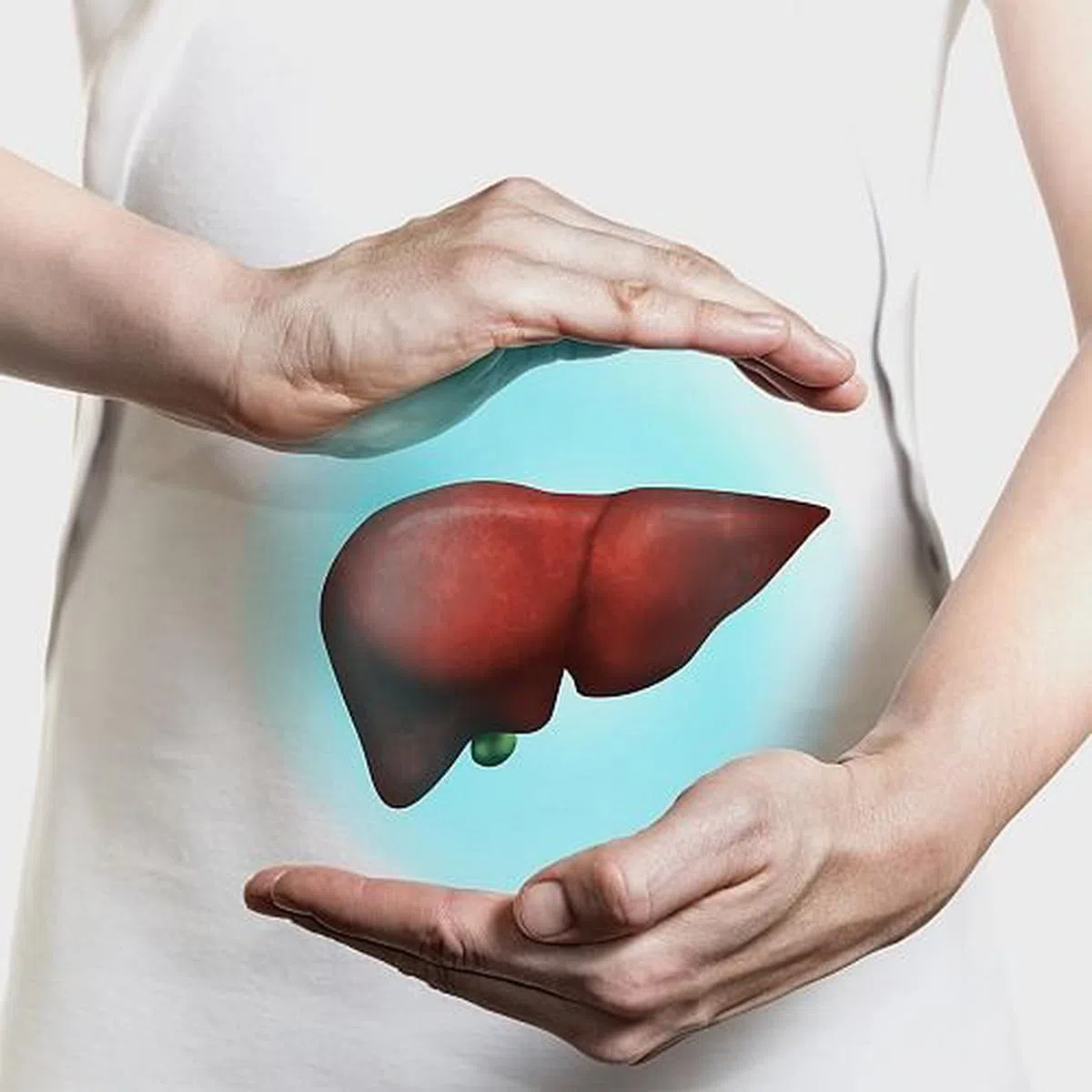 肝脏为身体提供多项支持，对生命至关重要。（图／Suntory 提供）