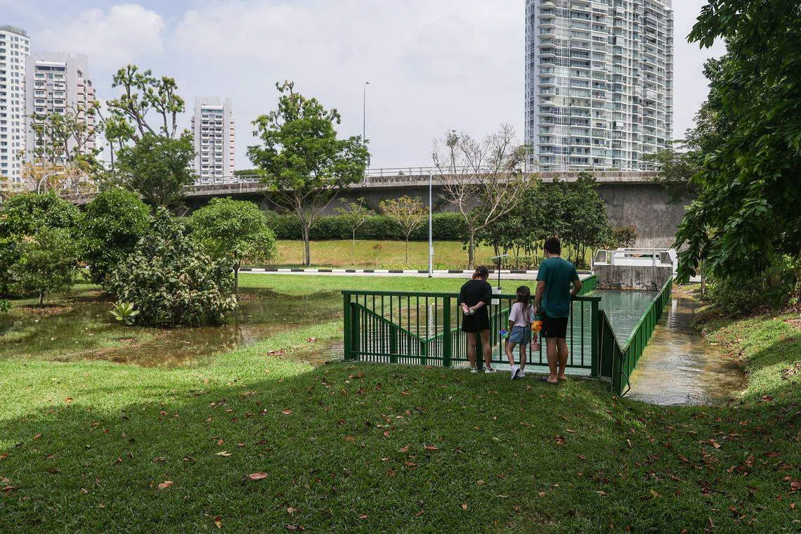星期一（3月11日）上午11时30分左右海水不断从排水沟溢出，民众不禁停下脚步观察。（白艳琳摄）