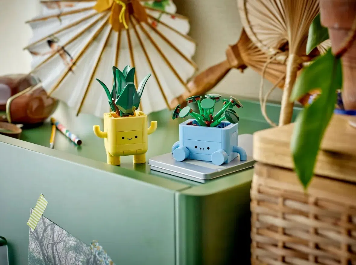 乐高“Happy Plants”套装包括两盆造型可爱的“盆栽”。（互联网）