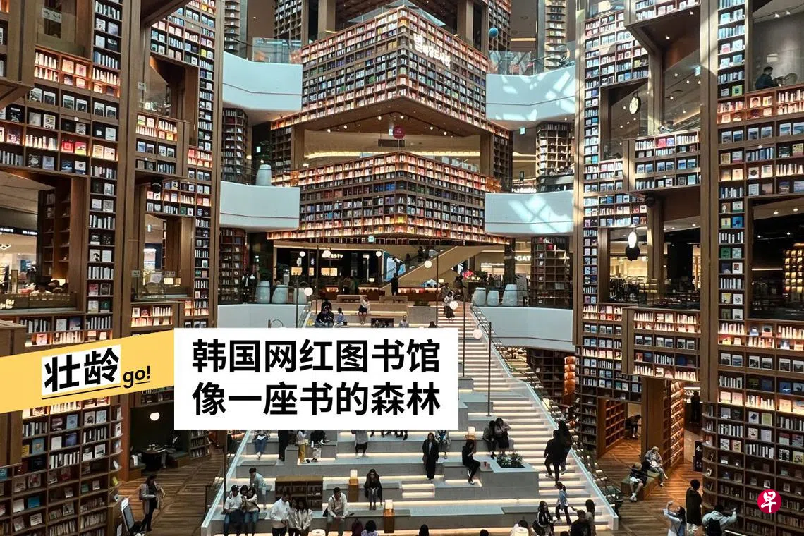  （叶孝忠摄　　）