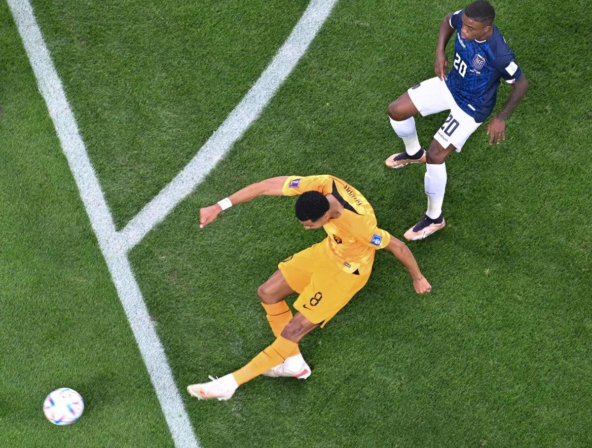 荷兰全场只有一次射正，但他们把握了机会，凭借前锋哈克波（橙衣）的进球获得一分。（法新社）