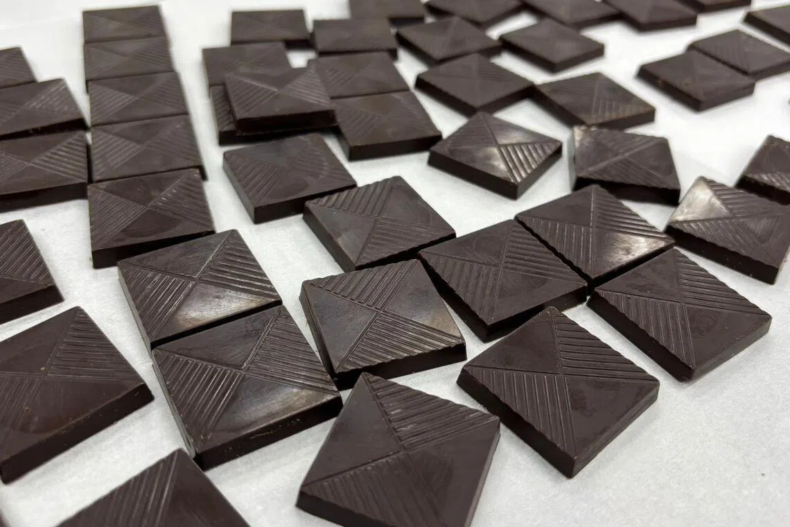 这是用蘑菇制成的巧克力，看起来和吃起来都和用可可豆制成的一般巧克力无异。（Mycosortia提供）