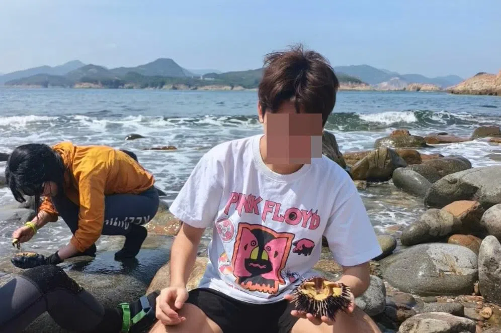 陆客香港火石洲捉海胆原地“开餐” 引破坏生态担忧