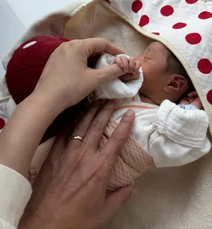 杨祐宁的小儿子出生了。（互联网）