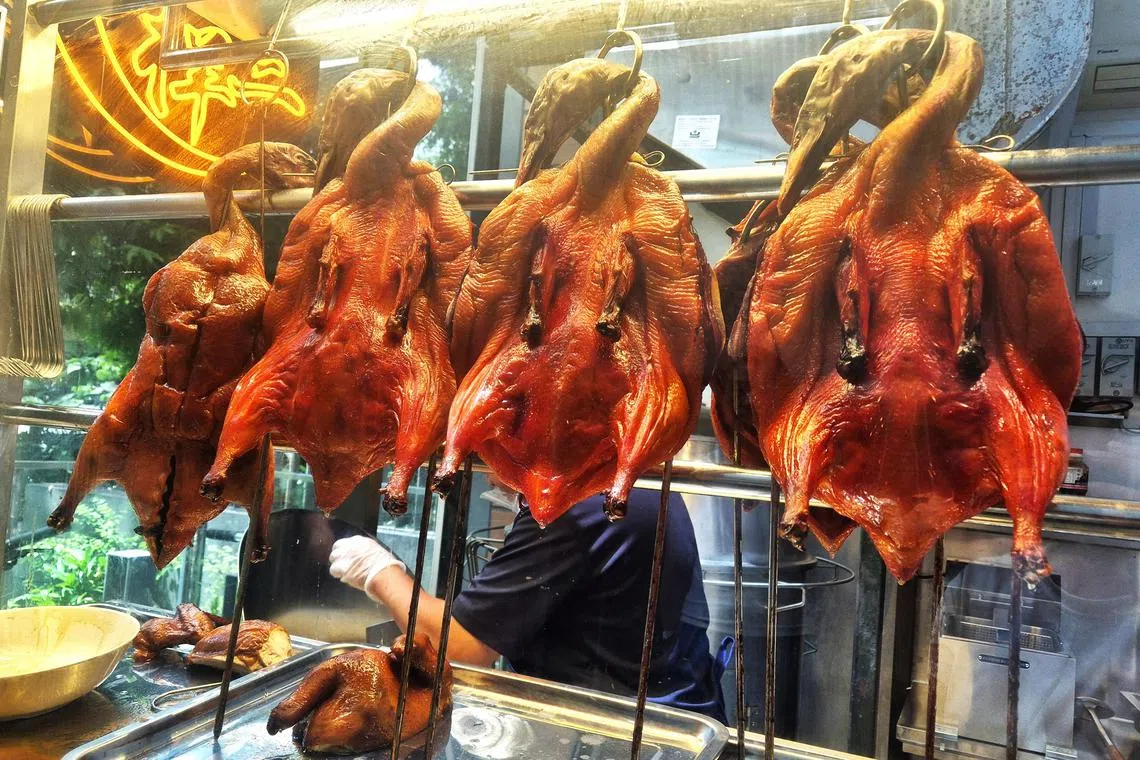 琵琶鸭从处理、腌制、风干到火烤，每个环节都很关键。（陈爱薇摄）