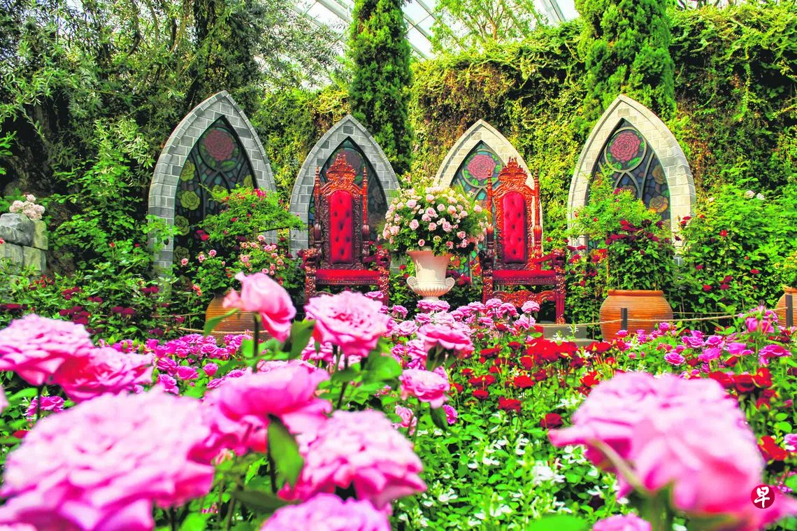 玫瑰之恋”花穹绽放庆祝新英建交60周年| 联合早报