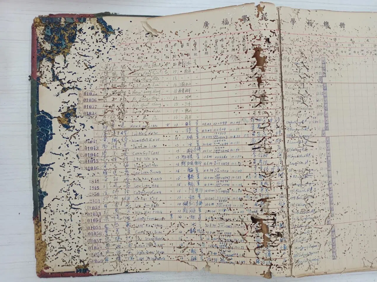 《学籍总册》遭虫蚁严重破坏，每一页都千疮百孔。（受访者提供）