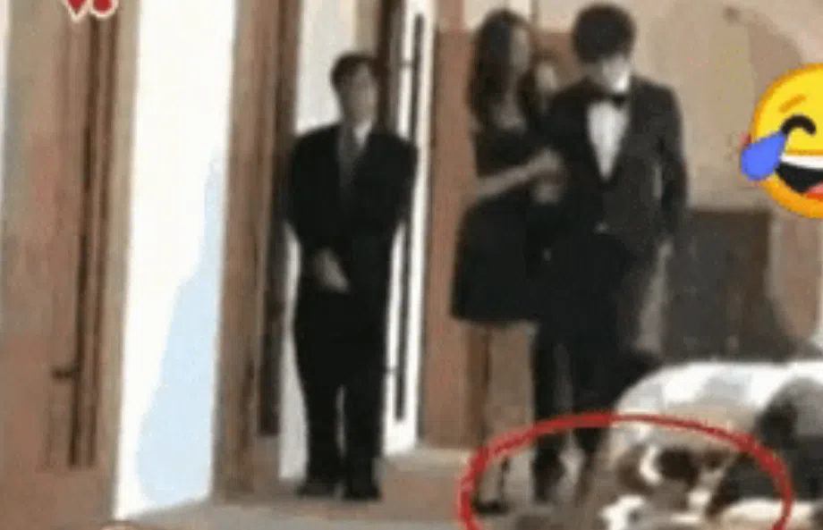 黄晓明拍戏时，每走一步工作人员就在底下铺木板。（视频截图）