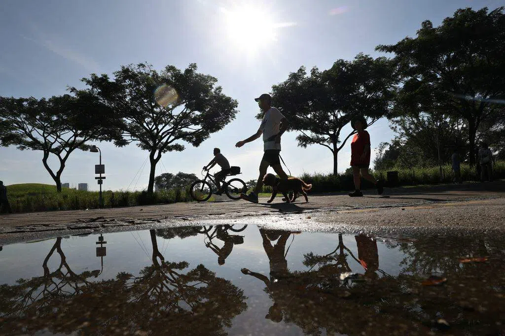 本地未来三天 潮湿多雨天气仍将持续