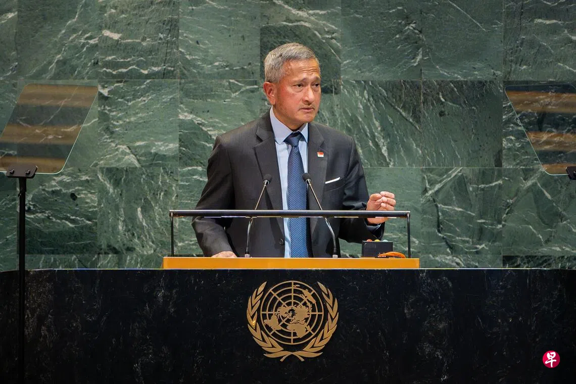 维文：联合国安理会须改革以更好履行使命| 联合早报