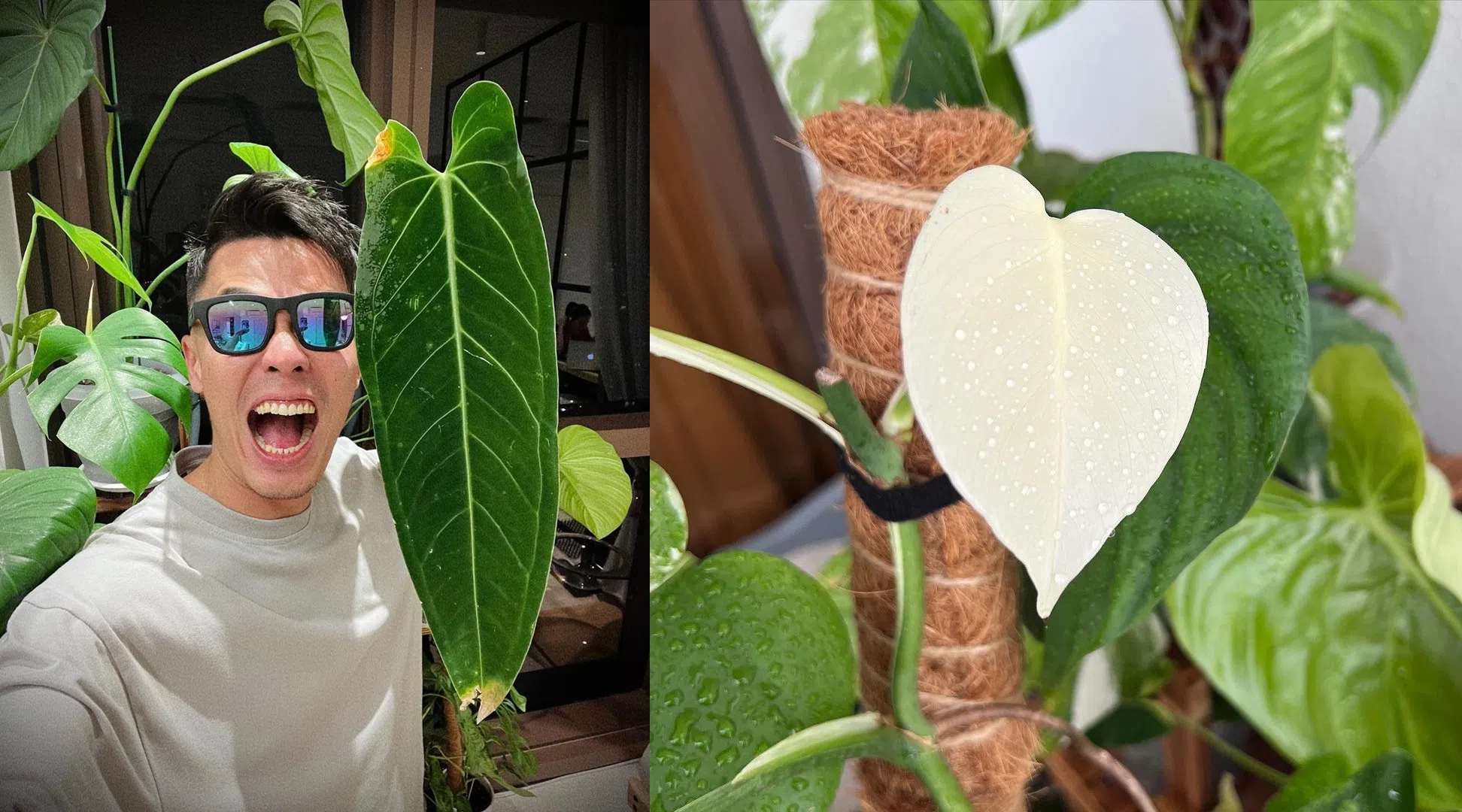 网红小明为爱花爱草们开设IG账号。（取自网红小明IG）