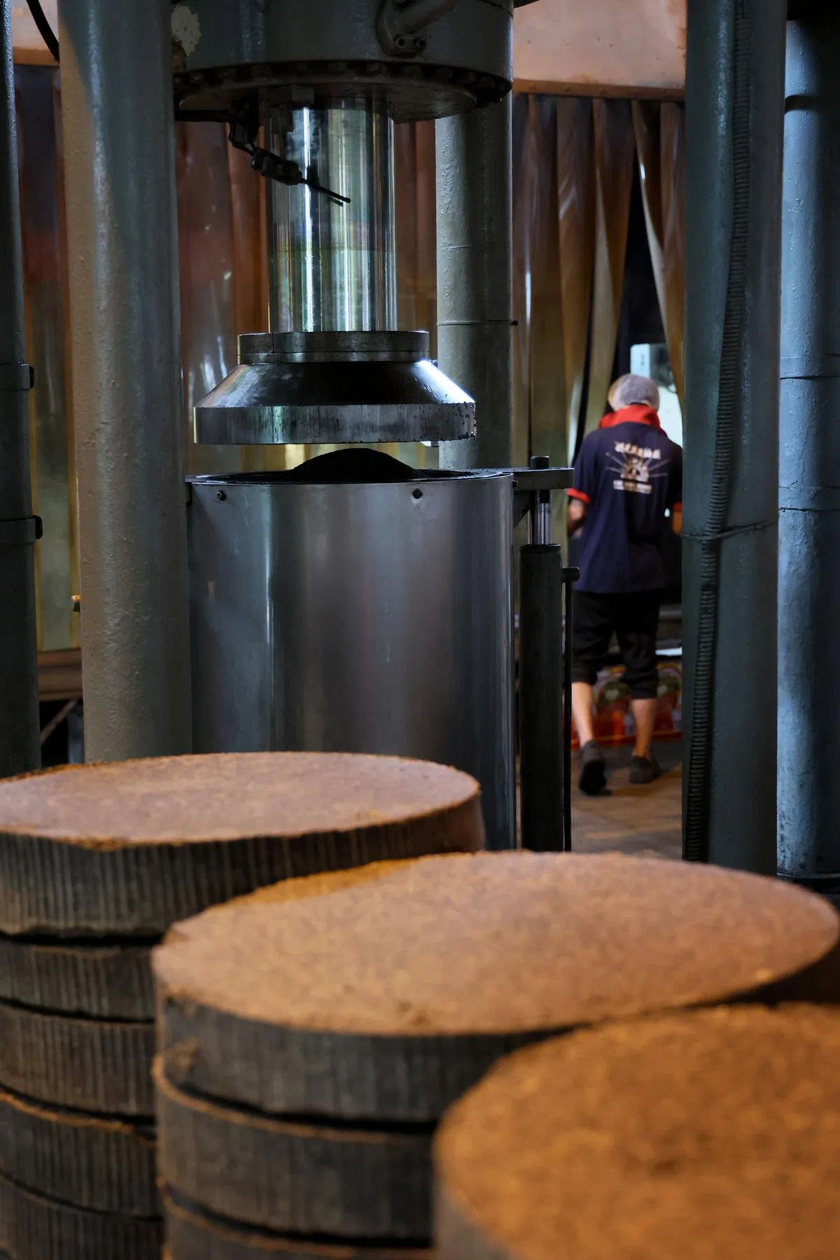 【榨油】香喷喷的芝麻渣饼将做为动物饲料和堆肥。（龙国雄摄） 