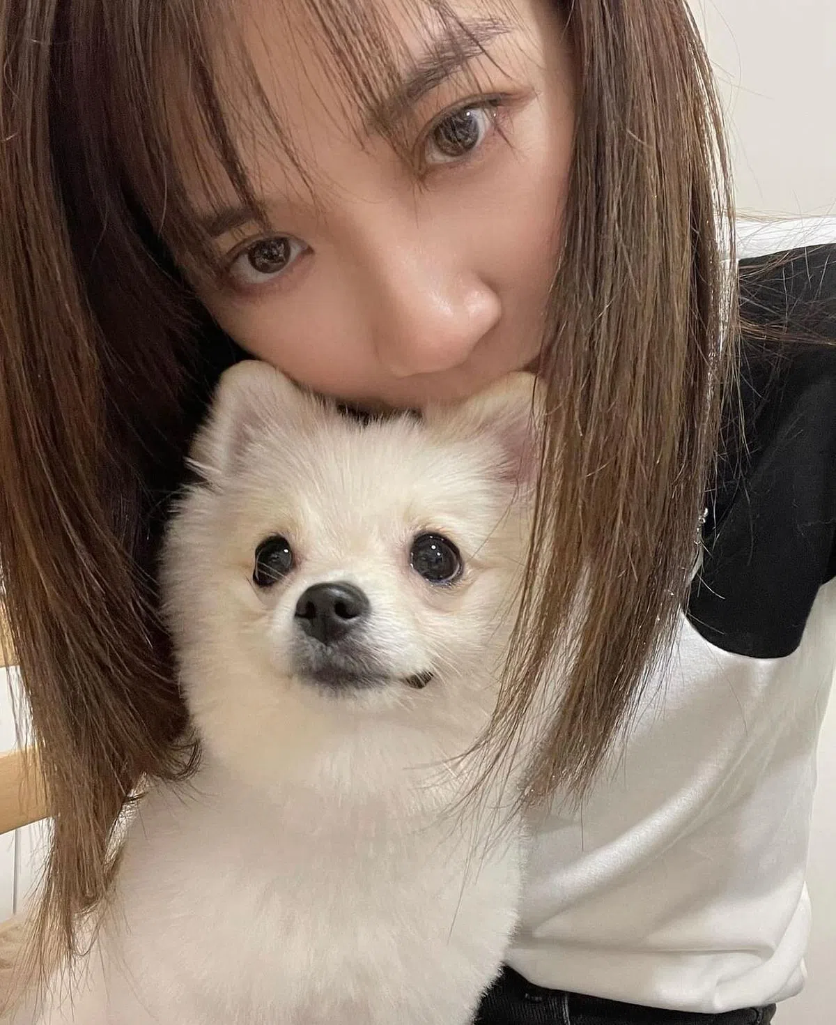 黄智雯2022年家中迎来新成员爱犬Mochi。（取自艺人IG）