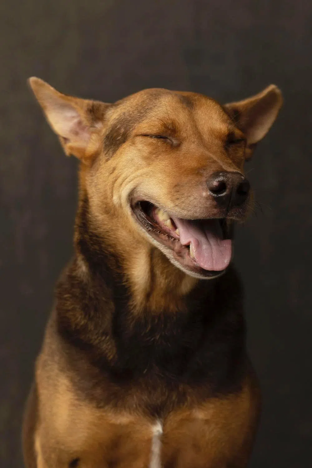 Dexter（受访者提供）