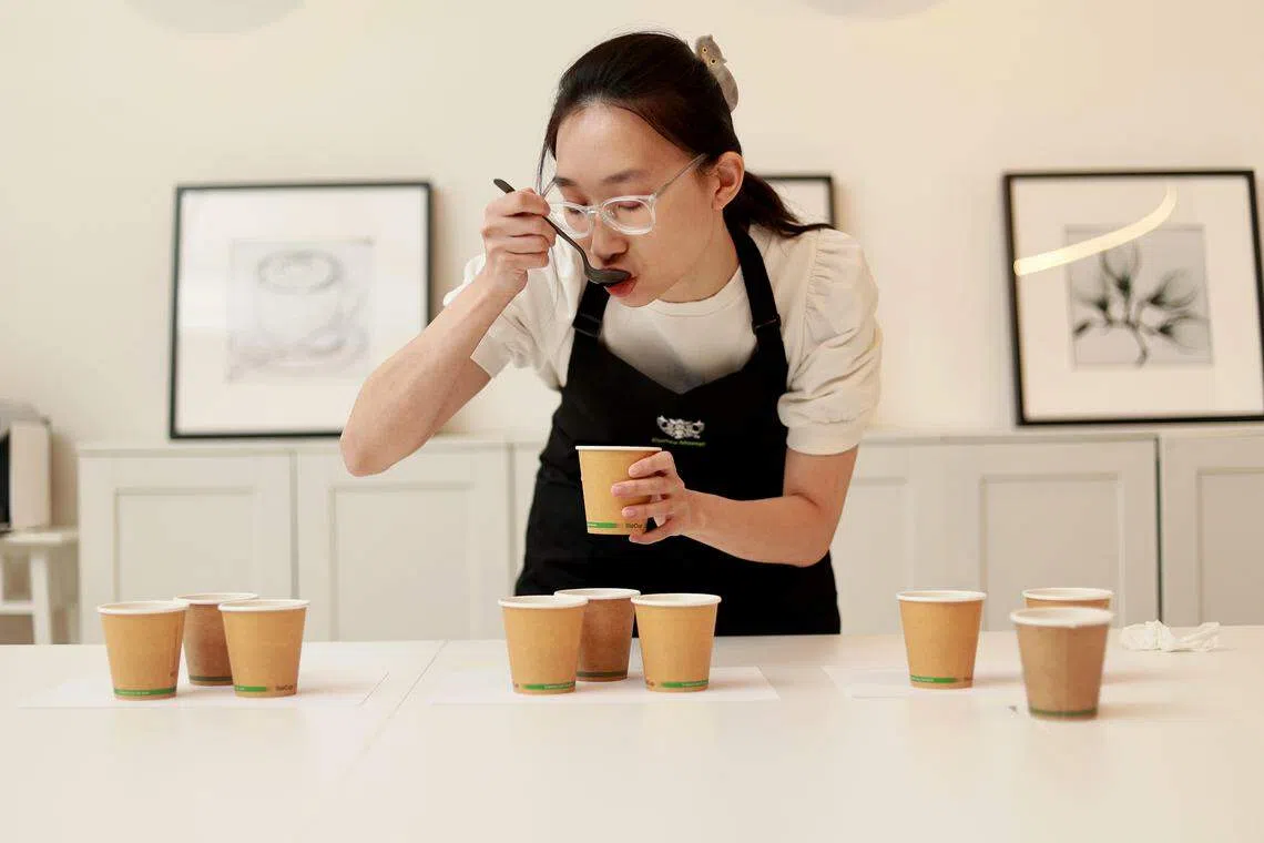 陈毅心准备参加比赛时，需要喝很多咖啡训练味蕾。（龙国雄摄）