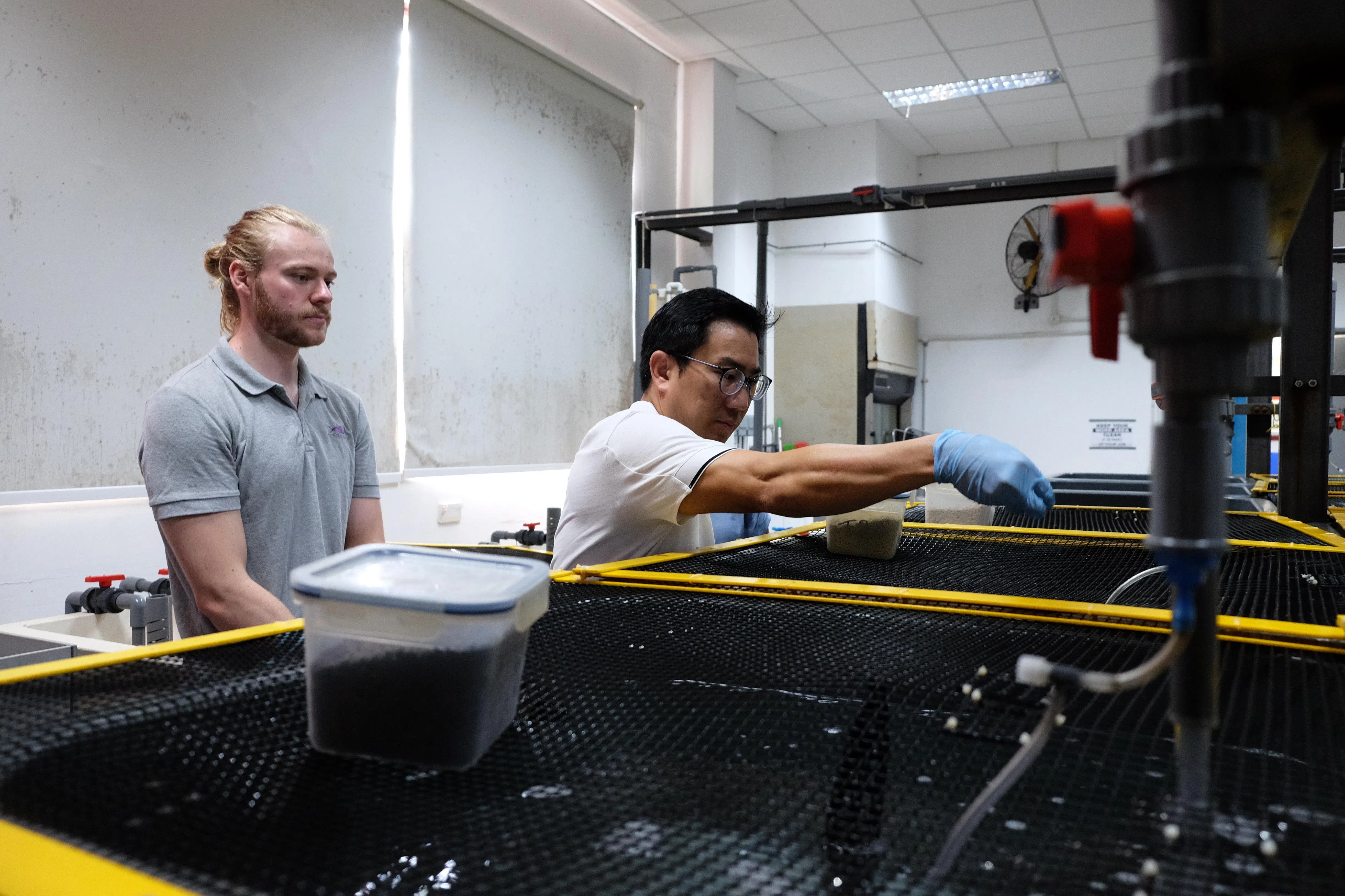 吕世财博士（右）和团队找出能对付亚洲鲈鱼常见病原体的益生菌，再研究哪些营养成分能和益生菌一起发挥更好的保护作用。（南大提供）