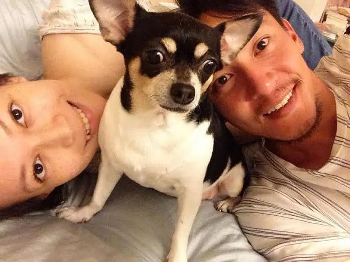 张震于庄雯如。（互联网）