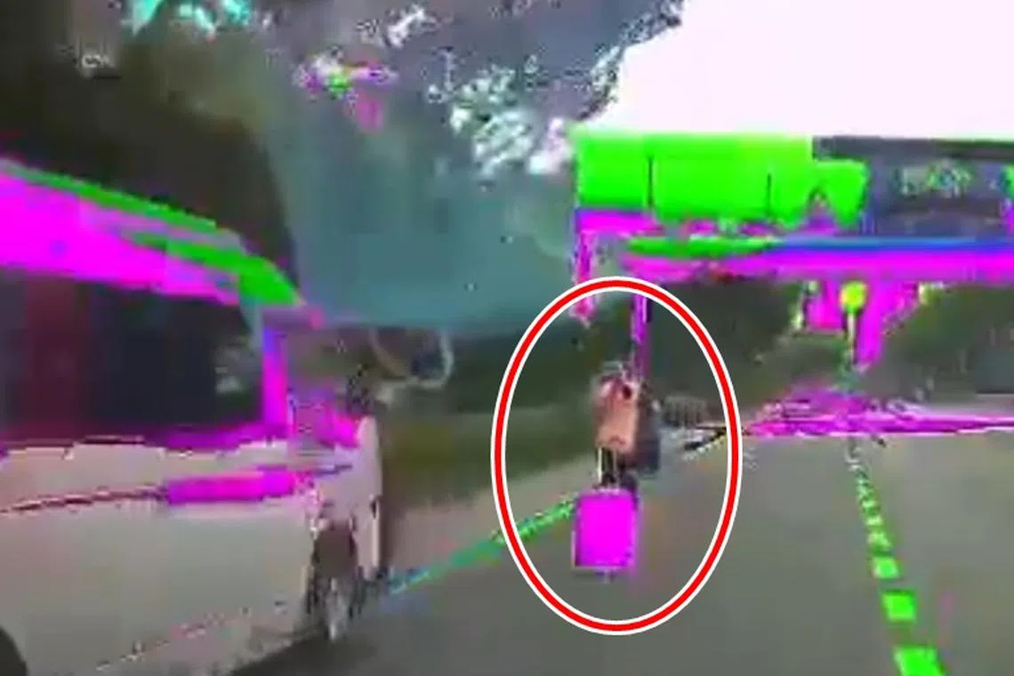 “跳车男”（红圈）事后在快速公路被拍到拖着行李行走。（受访者提供）