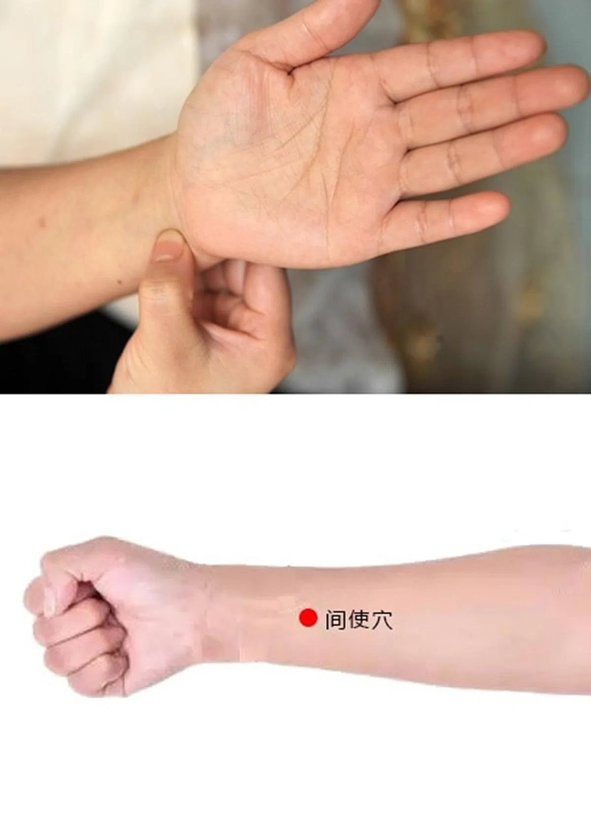 神门穴（上图）与间使穴 。（档案照/网络图）