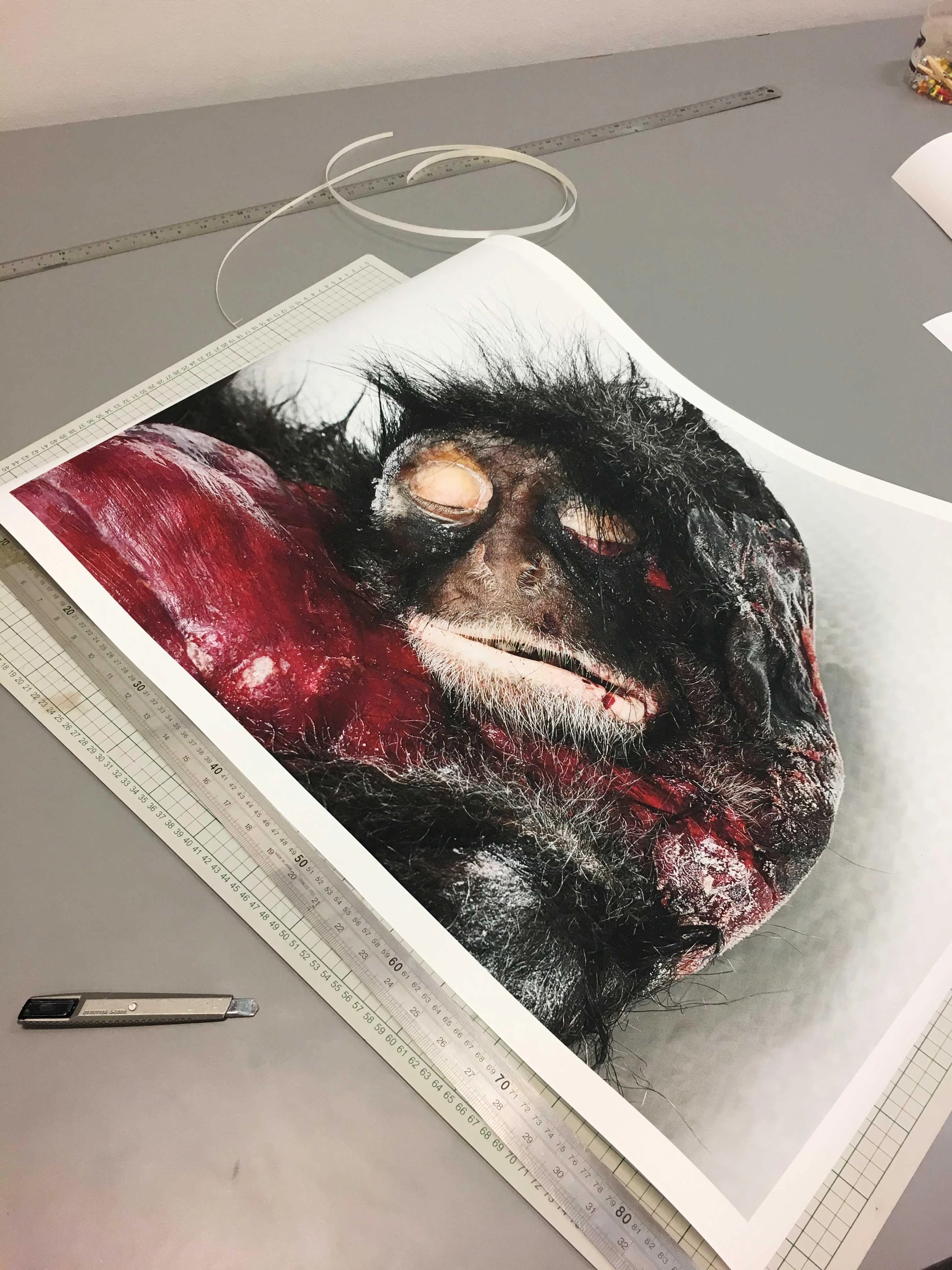 赖慧丽拍摄死亡野生动物，一开始会害怕，像处理这张莱佛士叶猴照片时，感觉它在盯着她，毛骨悚然。（受访者提供）