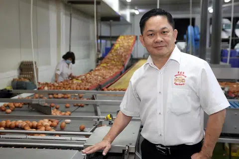 本地第二大鸡蛋农场安安被泰国企业收购