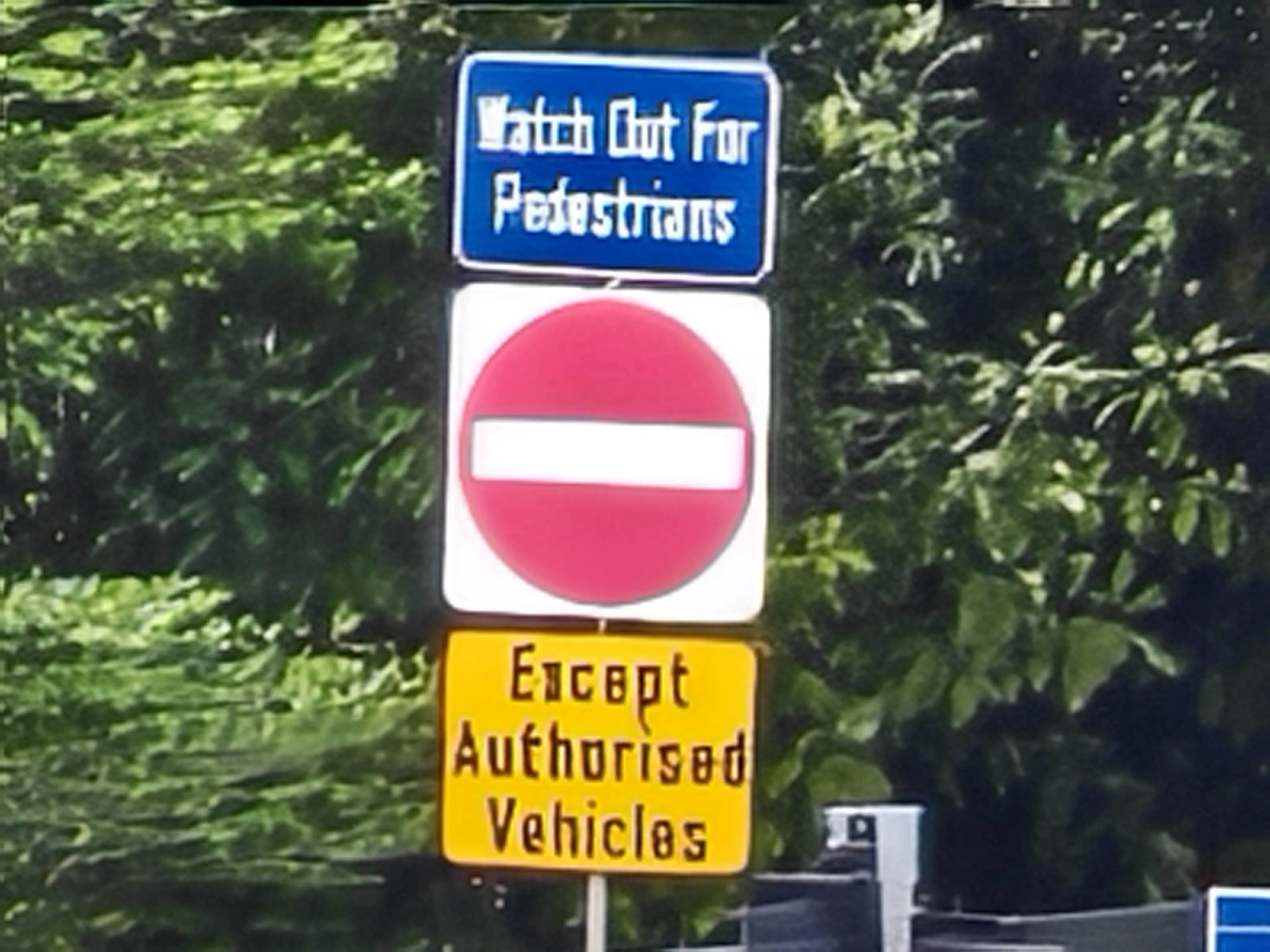 100倍数码变焦能远距离拍摄，图片相当清晰。（黄少伟摄）