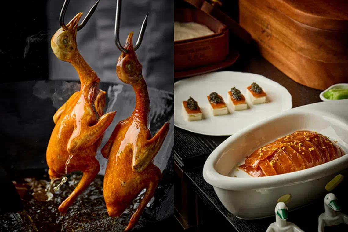 选用泰国鸭烹制烤鸭，油脂虽没那么丰润，但胜在外皮烤得酥而不腻。（餐馆提供）