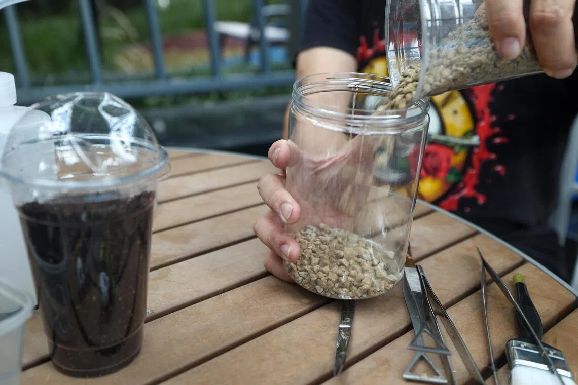 第一层应铺设足够厚度的排水层，占容器高度的四或五分之一。（白艳琳摄）