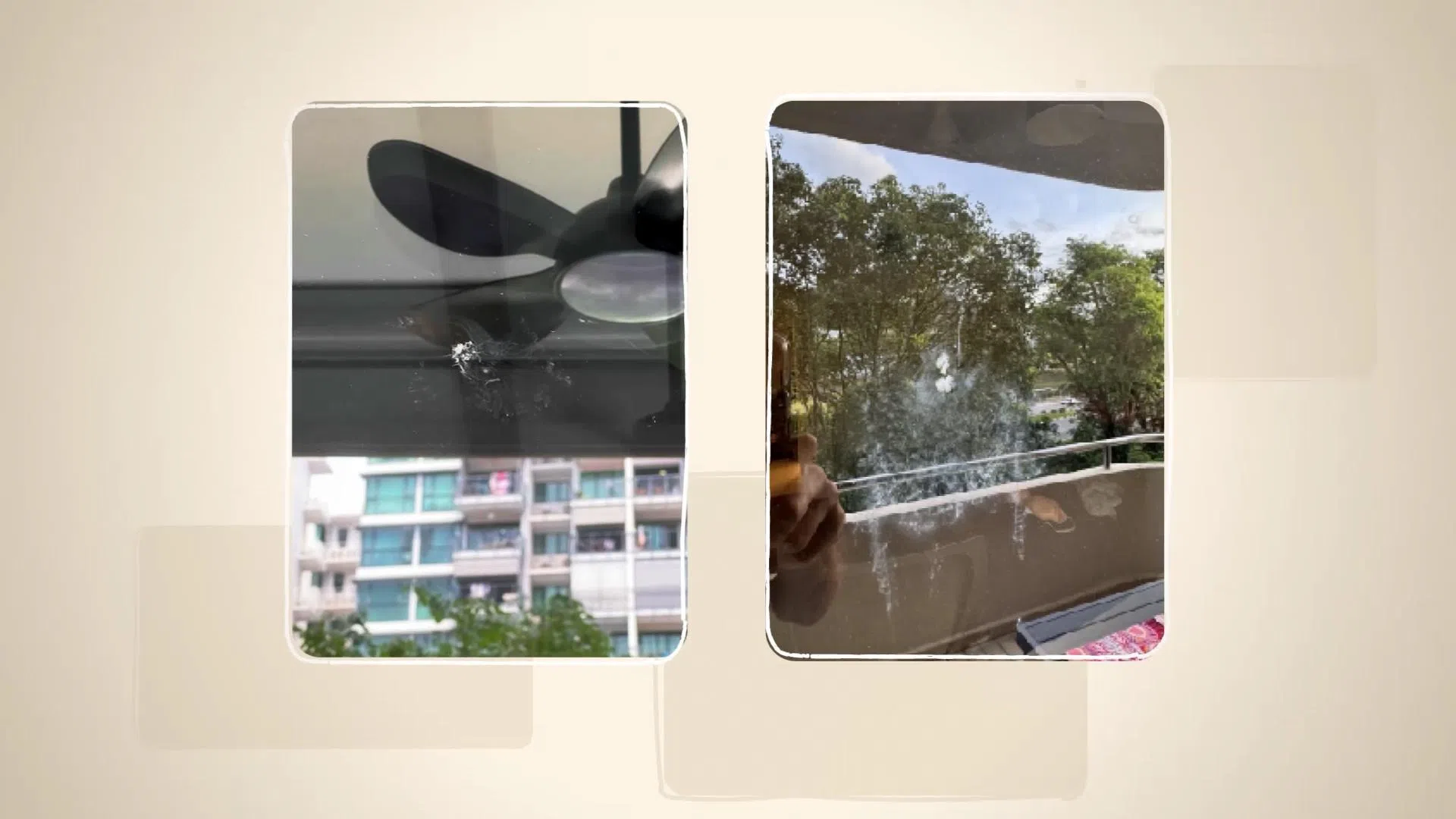 鸟儿在撞上窗户后通常会留下痕迹，郑雁予以此推测它们的死因。（视频截图）