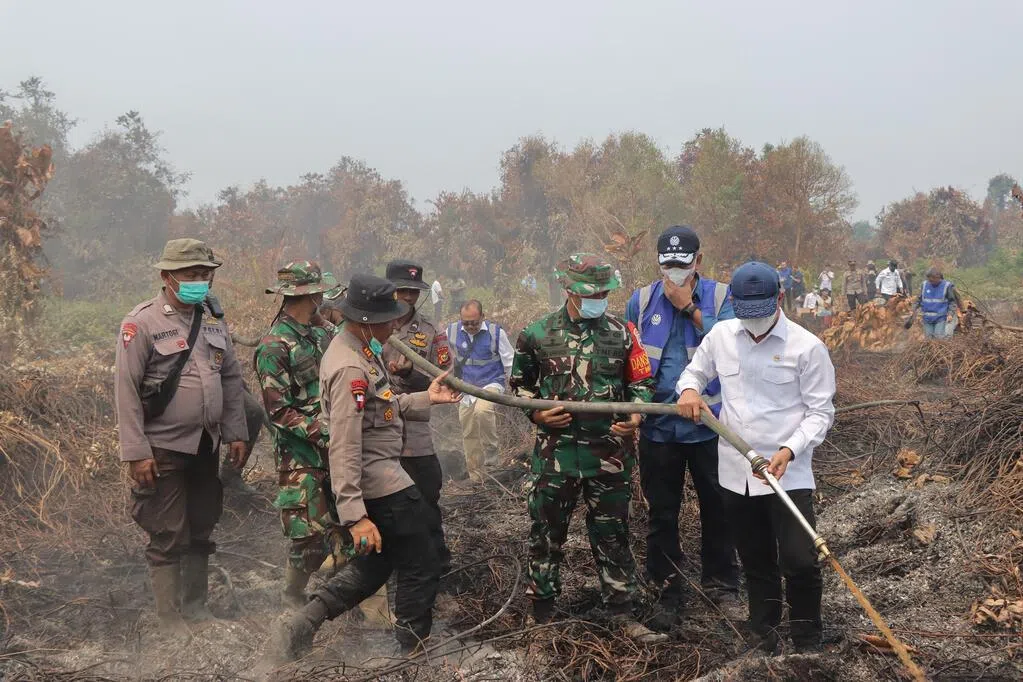印尼廖内省去年林火案激增205%