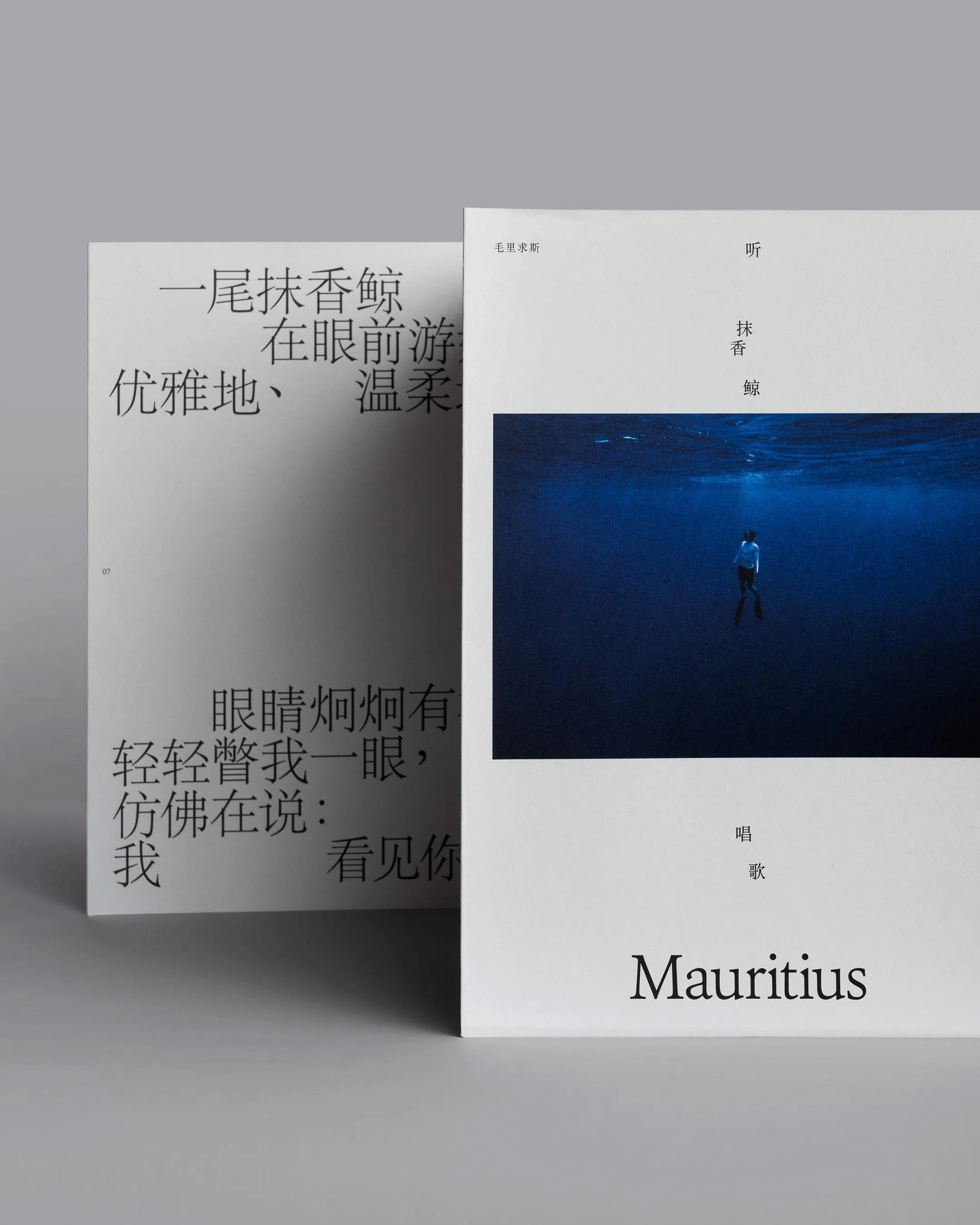 全集收录24篇文章和380幅摄影作品，记录林道锦过去八年的旅行足迹。（受访者提供）