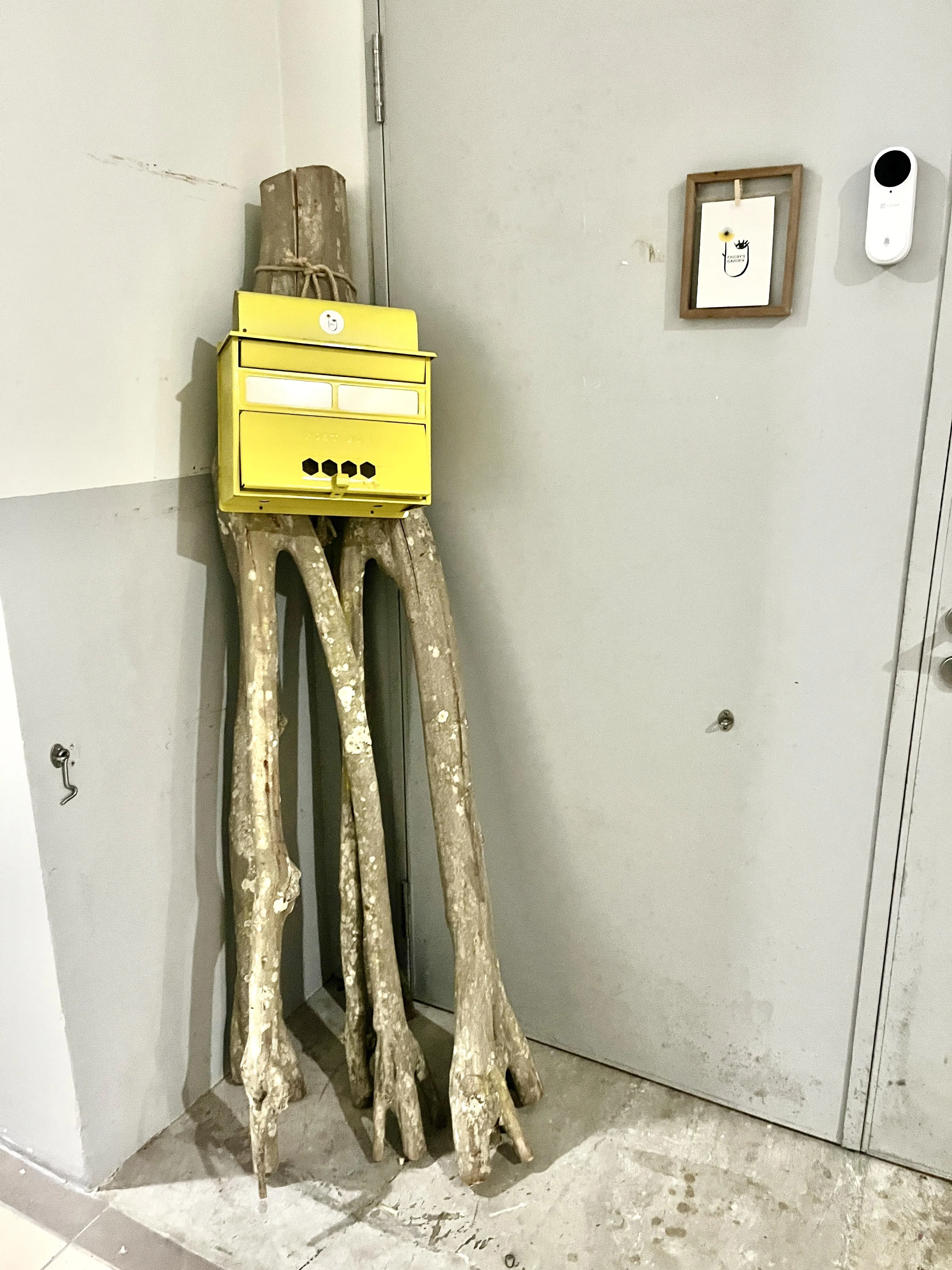 在美景城的走道不时邂逅小趣味，最单调的小角落静静绽放美丽。（陈映蓁摄）